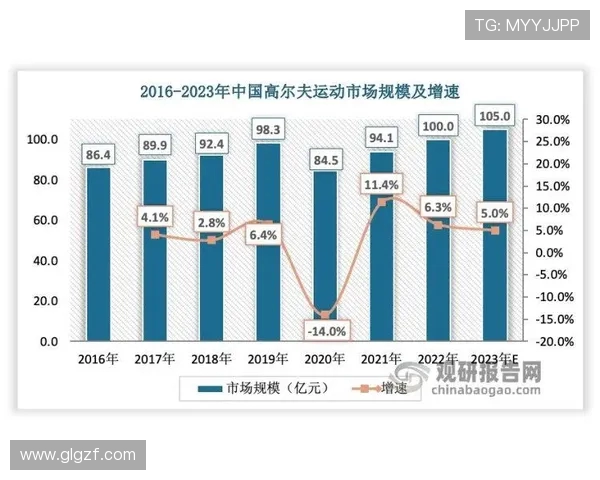 杭州排球队耐力分析与训练方法探讨如何提升竞技水平与团队协作能力
