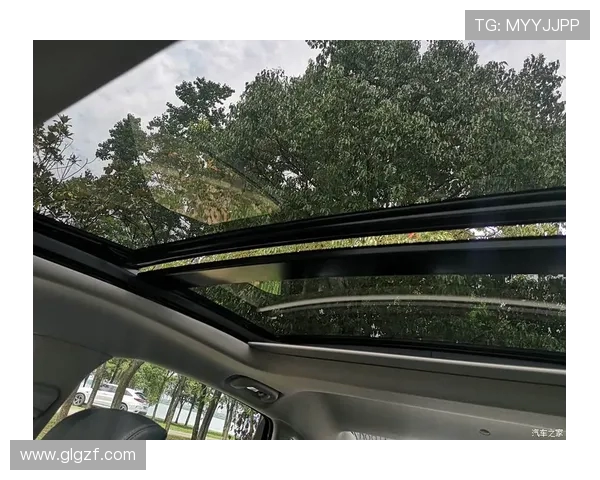 武汉街舞队的耐力挑战与成长之路探讨