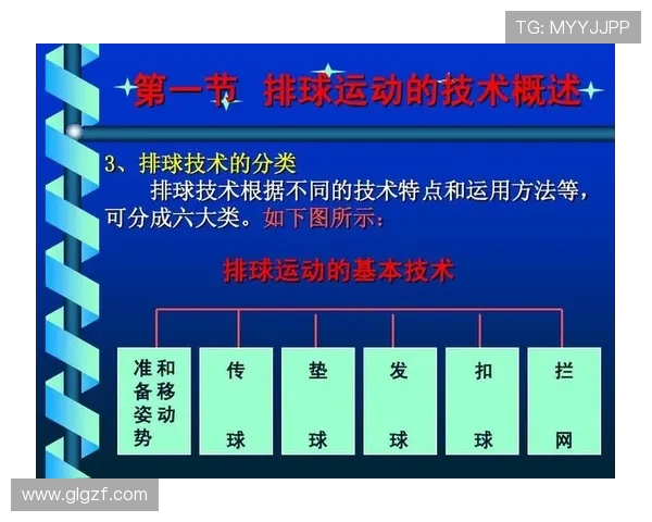 深圳排球队中路突破的战术解析与训练策略深度剖析 深圳排球队中路突破的战术解析与训练策略深度剖析