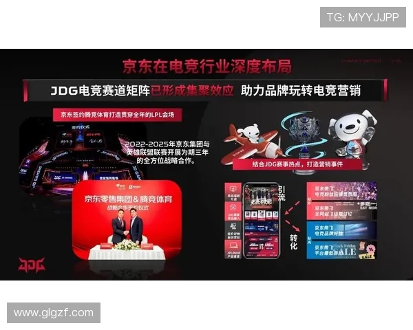 聚焦英雄联盟赛事JDG战队的快速崛起与战术创新探讨